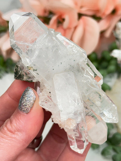 Green Chlorite Colombian Quartz