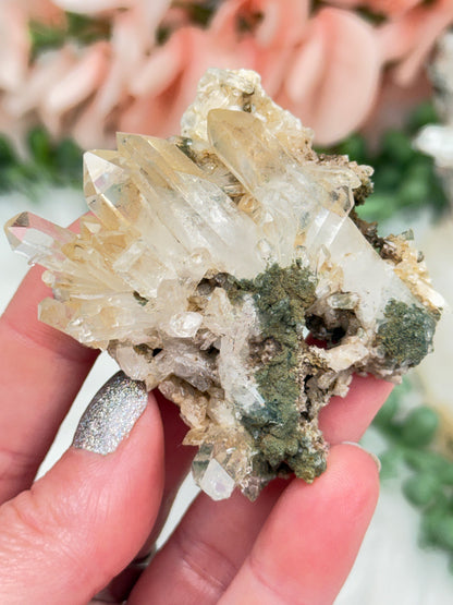Green Chlorite Colombian Quartz