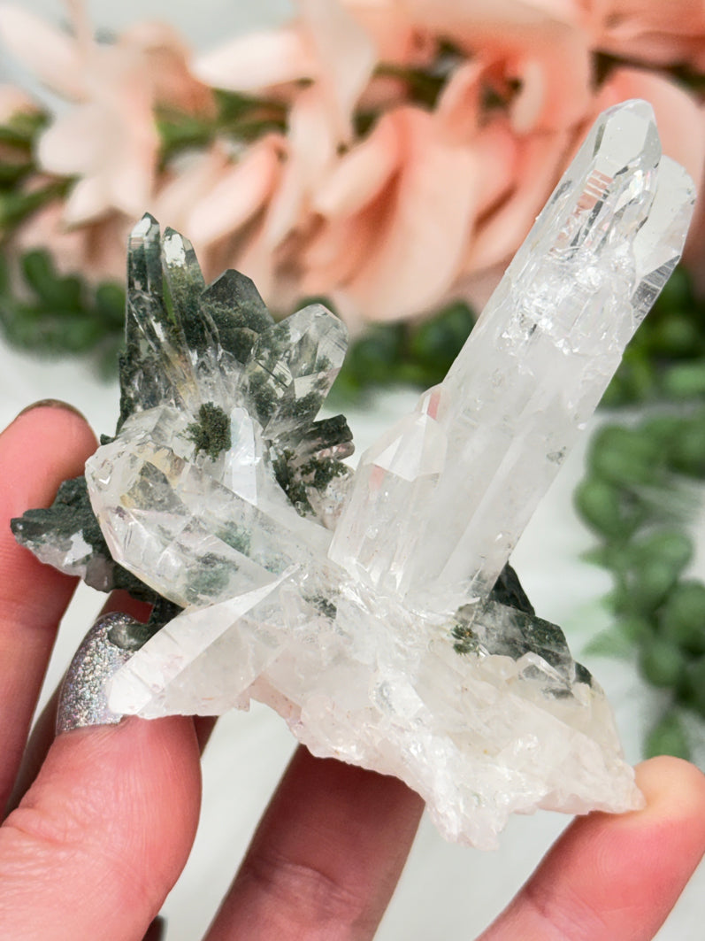 Green Chlorite Colombian Quartz