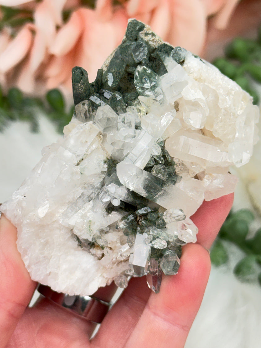 Green Chlorite Colombian Quartz