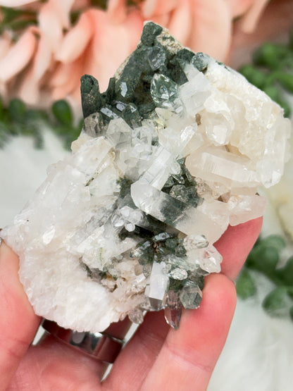 Green Chlorite Colombian Quartz