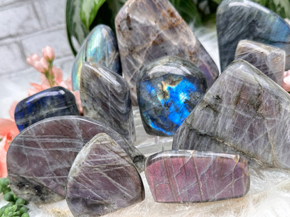 Standing Labradorite Freeforms