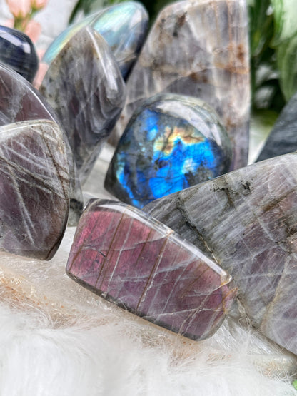 Standing Labradorite Freeforms