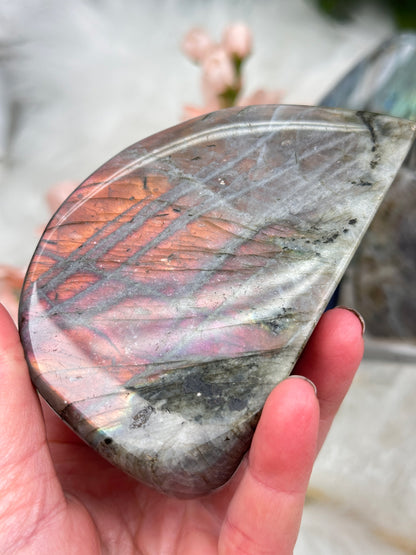 Standing Labradorite Freeforms