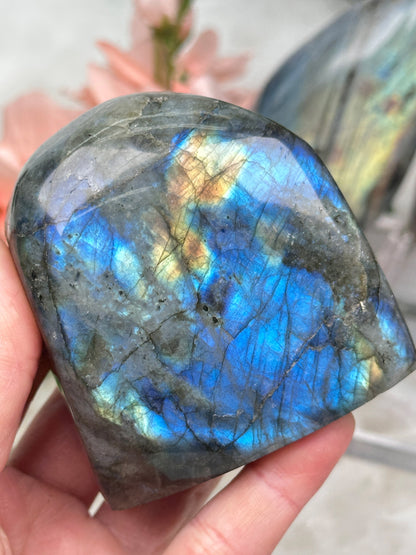 Standing Labradorite Freeforms