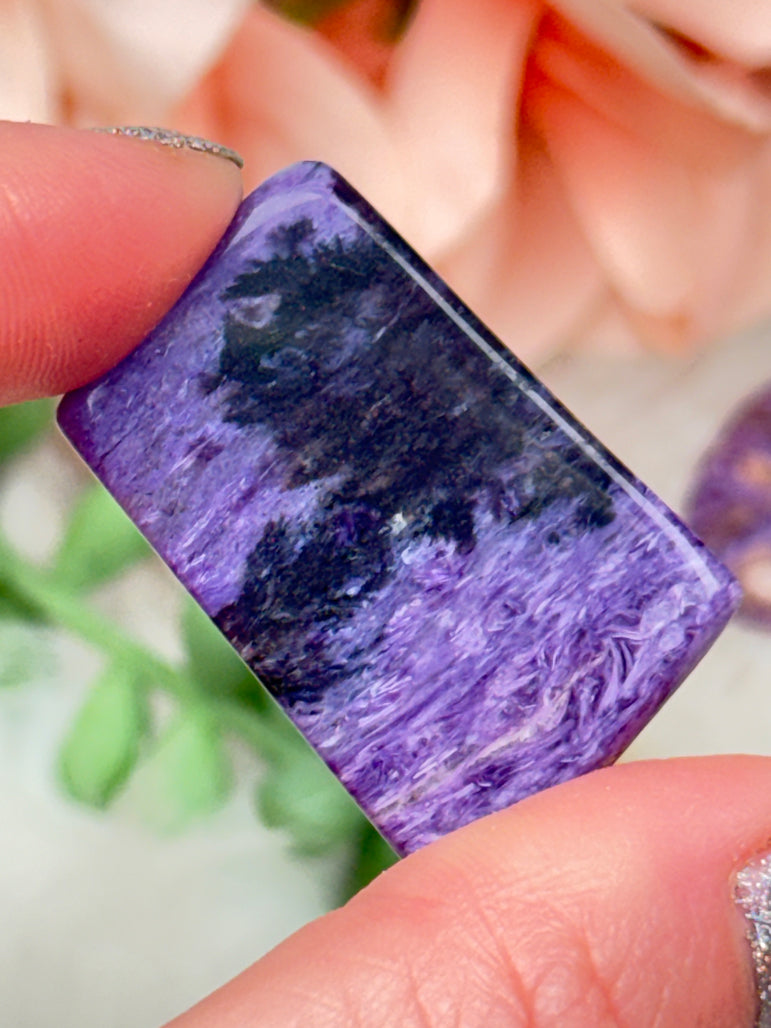Charoite Cabochons