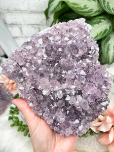 Contempo Crystals - Purple Amethyst Clusters - Image 13
