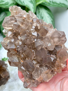 Contempo Crystals - iron-included-smoky-quartz-cluster - Image 13