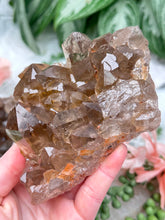 Load image into Gallery: Contempo Crystals - iron-included-smoky-quartz-cluster - Image 16