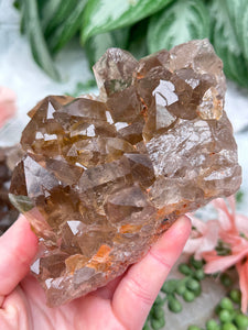 Contempo Crystals - iron-included-smoky-quartz-cluster - Image 15