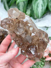 Load image into Gallery: Contempo Crystals - smoky-quartz-cluster - Image 19