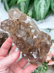 Contempo Crystals - smoky-quartz-cluster - Image 18