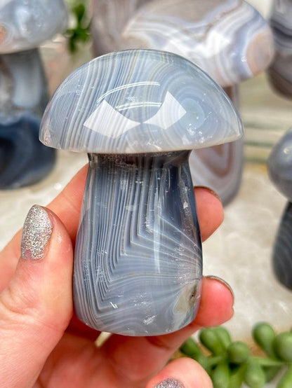 light-gray-agate-mushroom