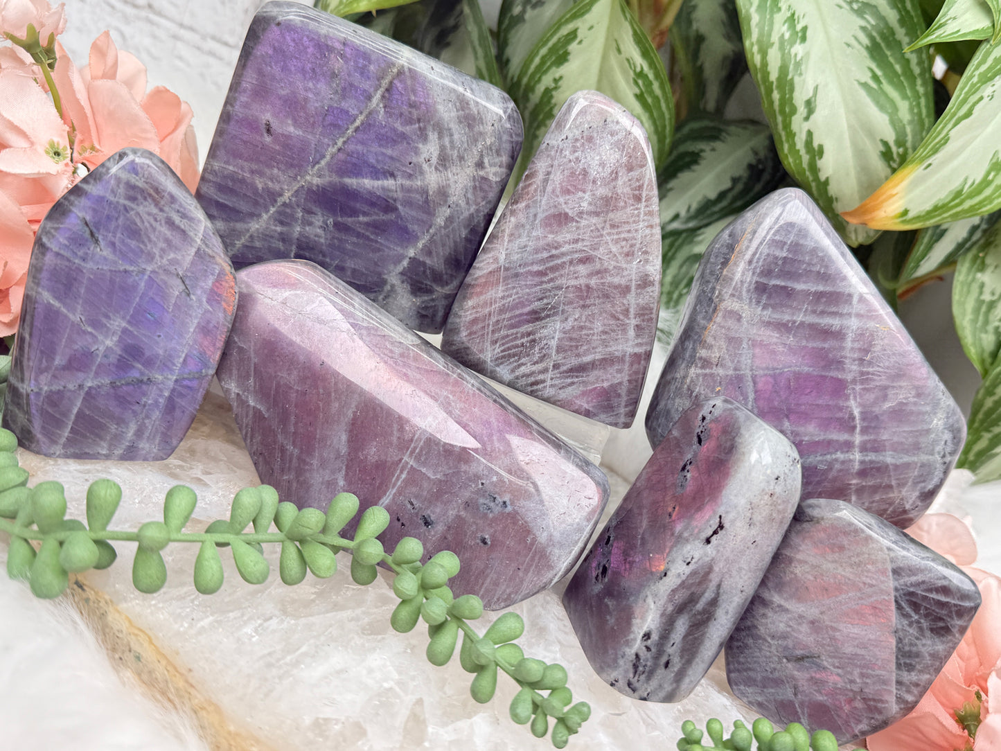 Pink Purple Labradorite