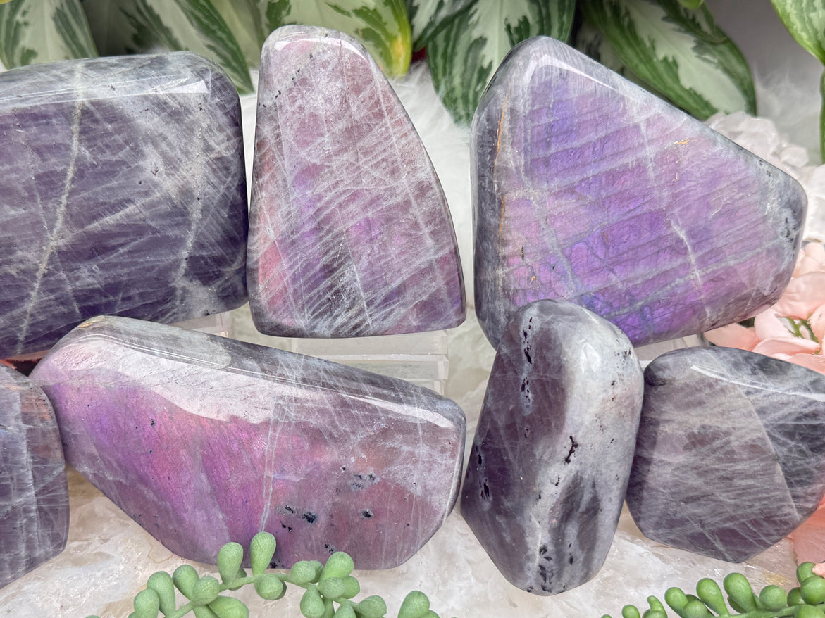 Pink Purple Labradorite