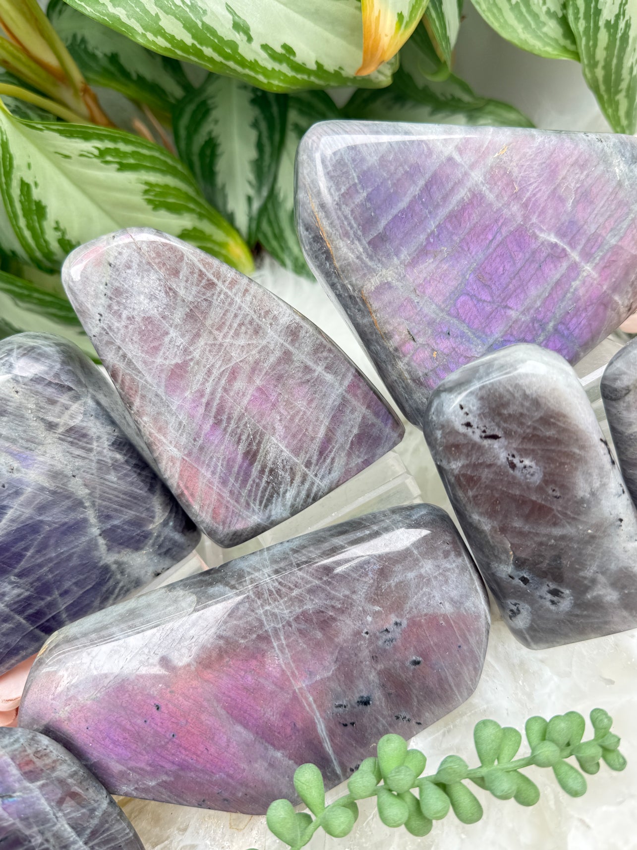Pink Purple Labradorite