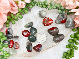 Contempo Crystals - tumbled-african-bloodstone - Image 7