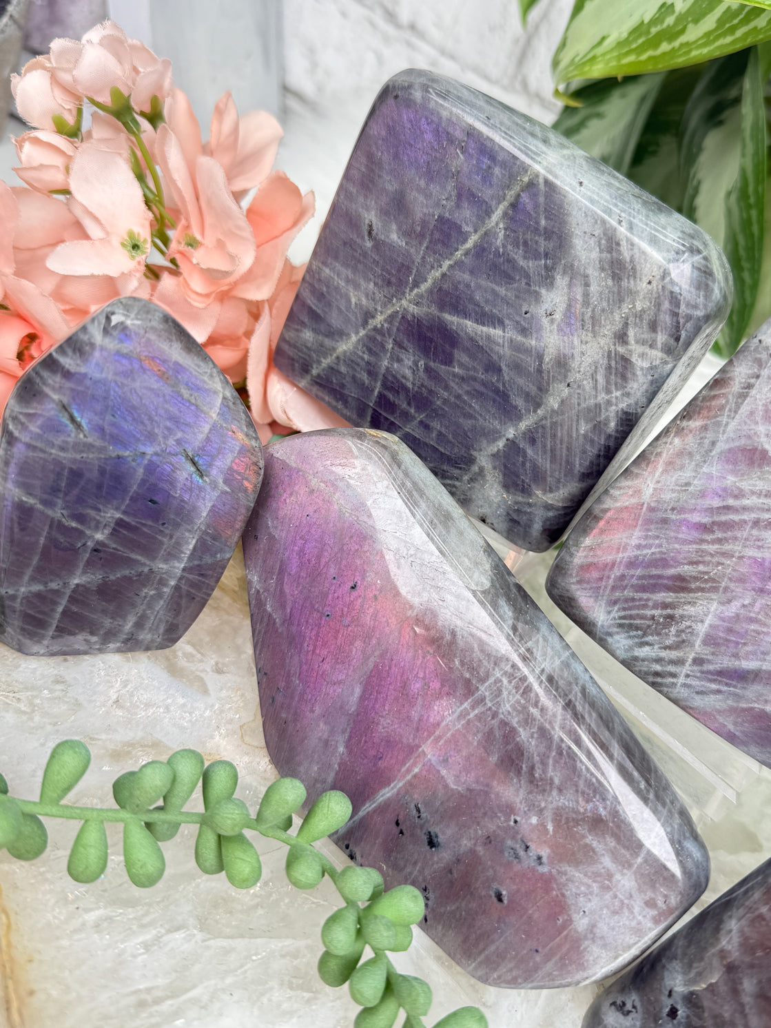 Pink Purple Labradorite
