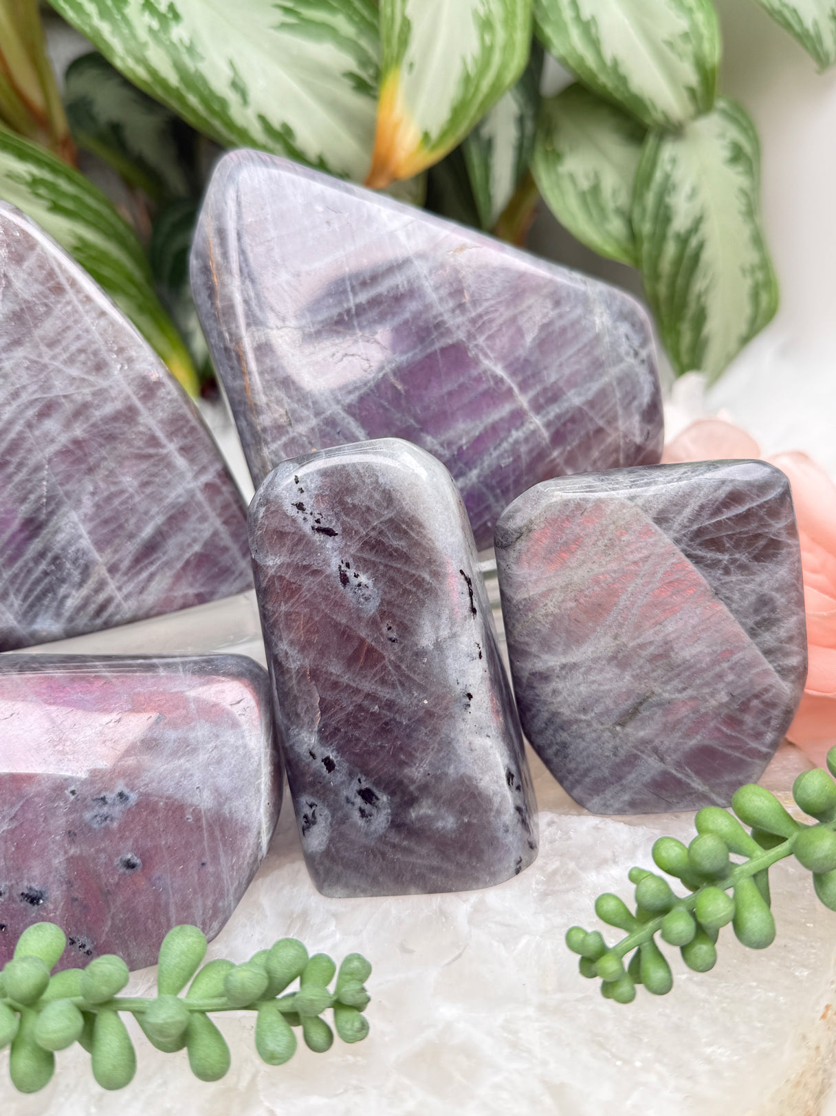 Pink Purple Labradorite