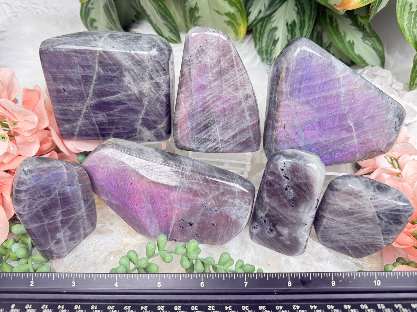 Pink Purple Labradorite