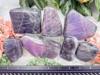 Pink Purple Labradorite