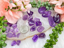 Load image into Gallery: Contempo Crystals - purple-amethyst-tumbles - Image 9