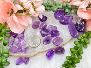 Contempo Crystals - purple-amethyst-tumbles - Image 9