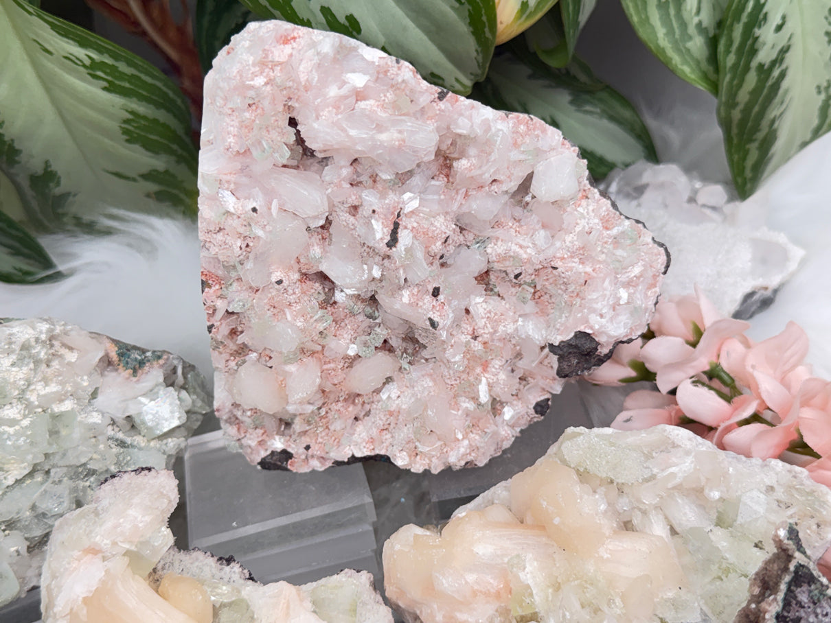 Green Apophyllite Clusters