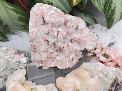 Green Apophyllite Clusters