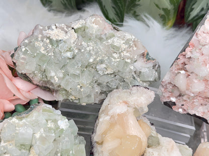 Green Apophyllite Clusters