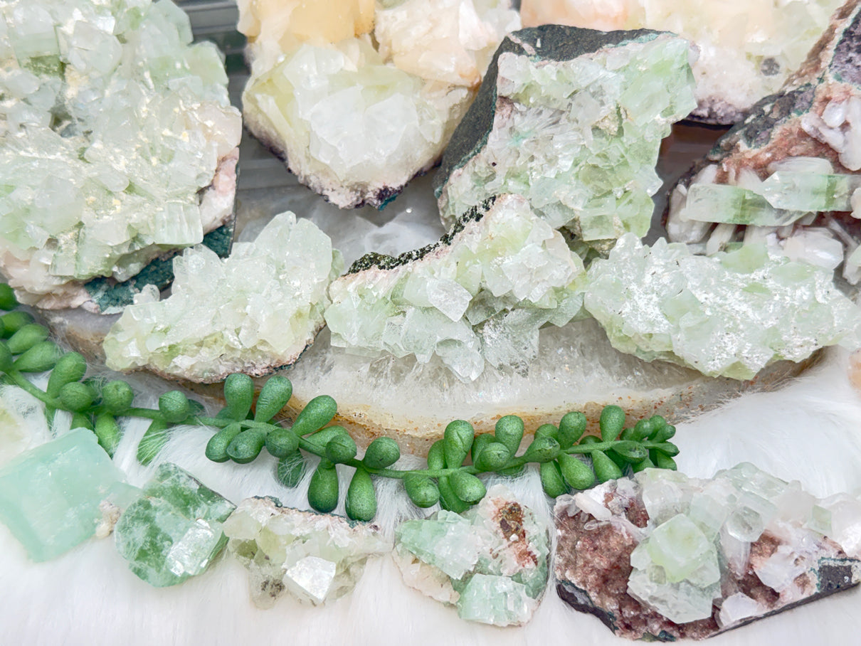 Green Apophyllite Clusters
