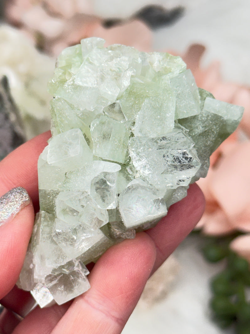 Green Apophyllite Clusters