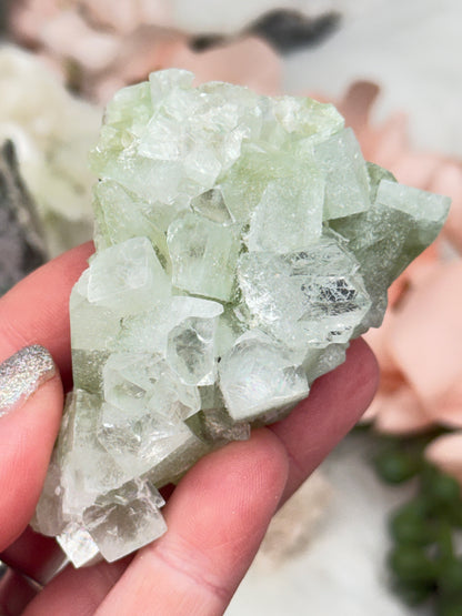 Green Apophyllite Clusters