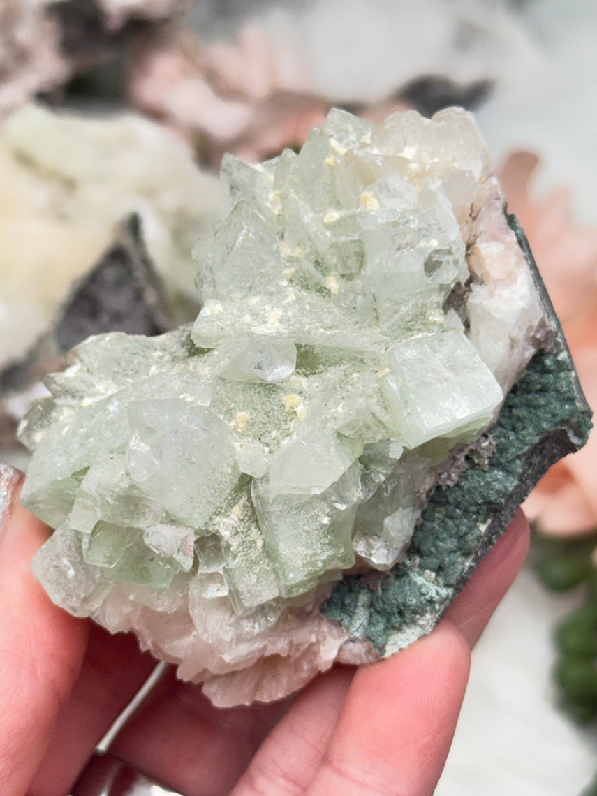 Green Apophyllite Clusters