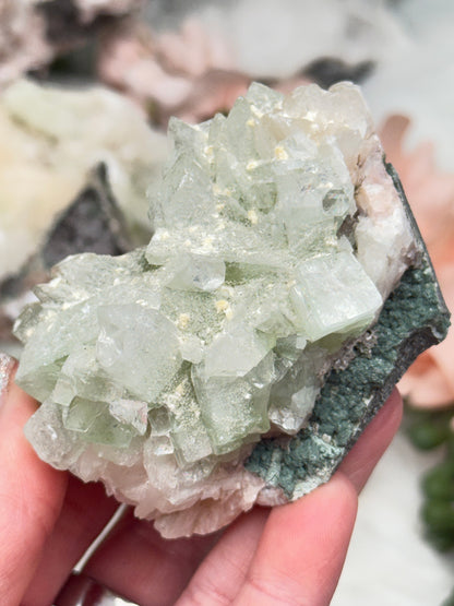 Green Apophyllite Clusters