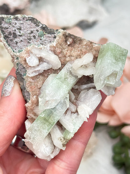 Green Apophyllite Clusters
