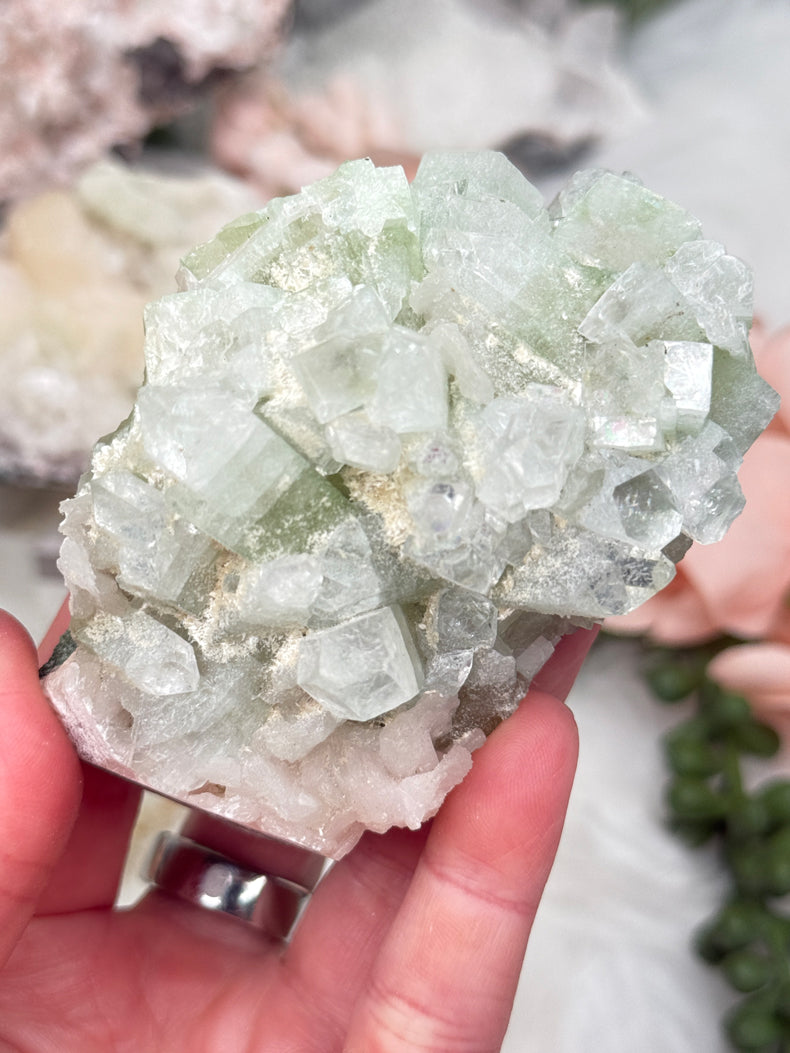 Green Apophyllite Clusters