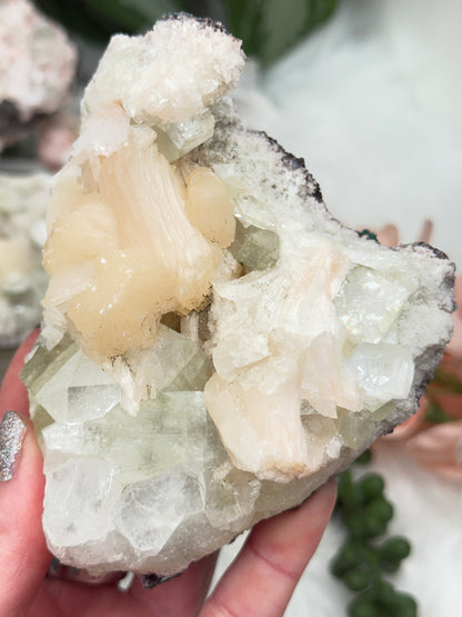 Green Apophyllite Clusters
