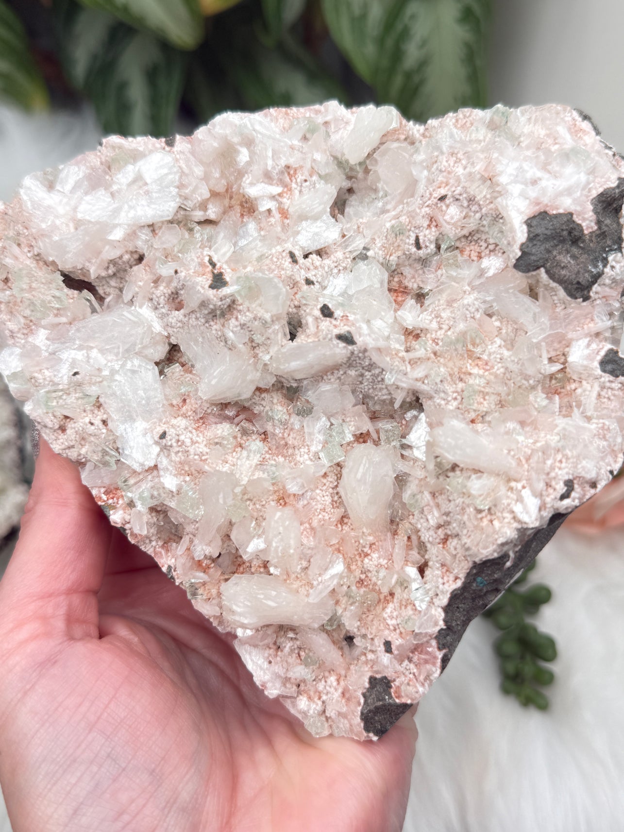 Green Apophyllite Clusters