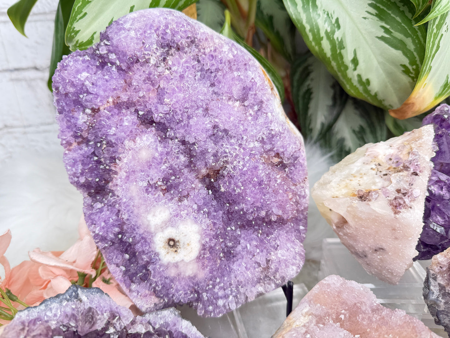 Pink Purple Amethyst Clusters