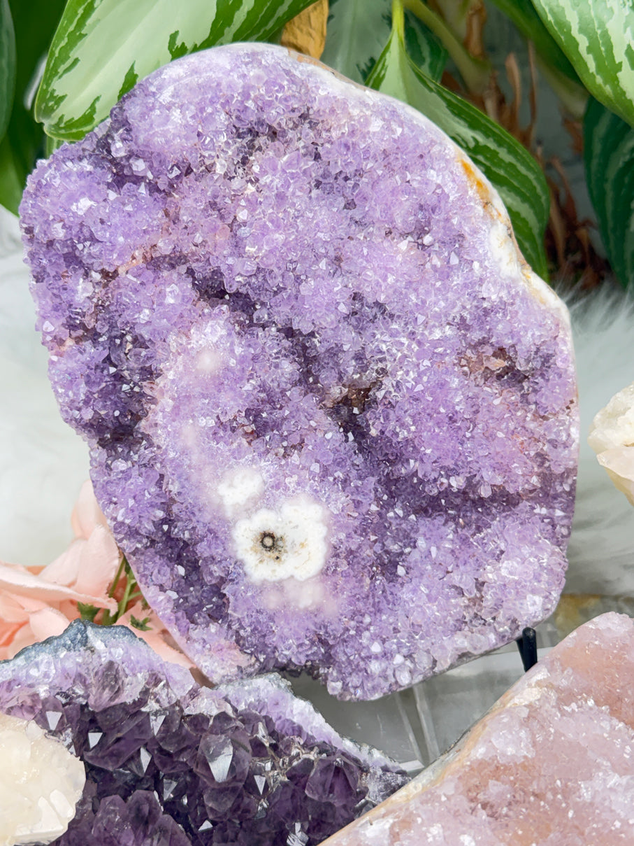 Pink Purple Amethyst Clusters