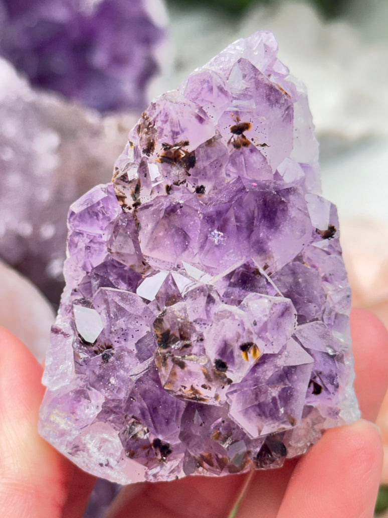 Pink Purple Amethyst Clusters