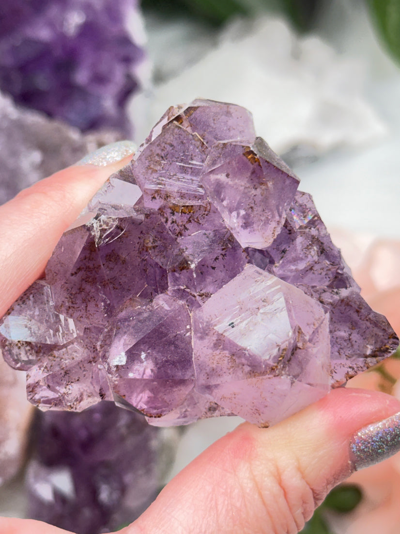 Pink Purple Amethyst Clusters