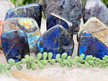 Standing Labradorite Freeforms