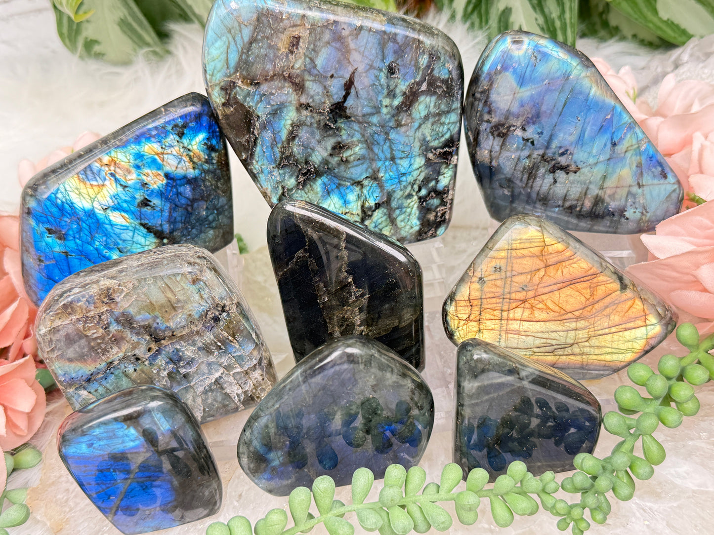 Standing Labradorite Freeforms