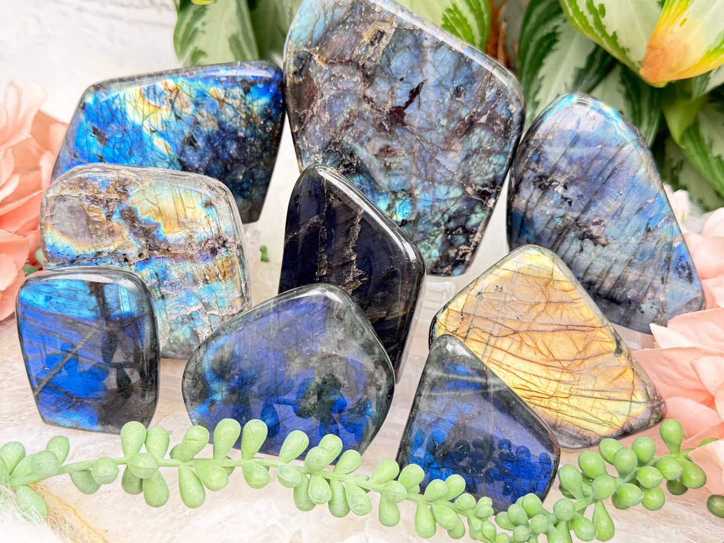 Standing Labradorite Freeforms