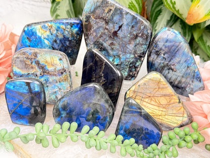 Standing Labradorite Freeforms