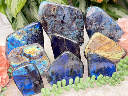 Standing Labradorite Freeforms