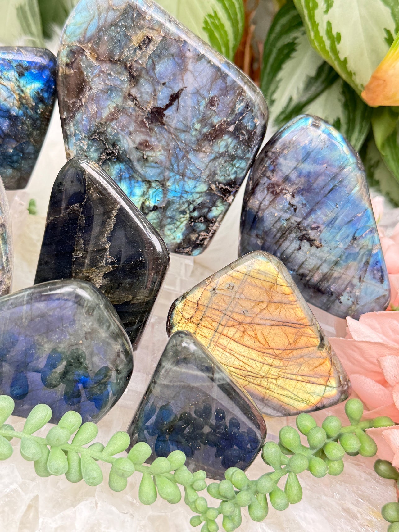 Standing Labradorite Freeforms