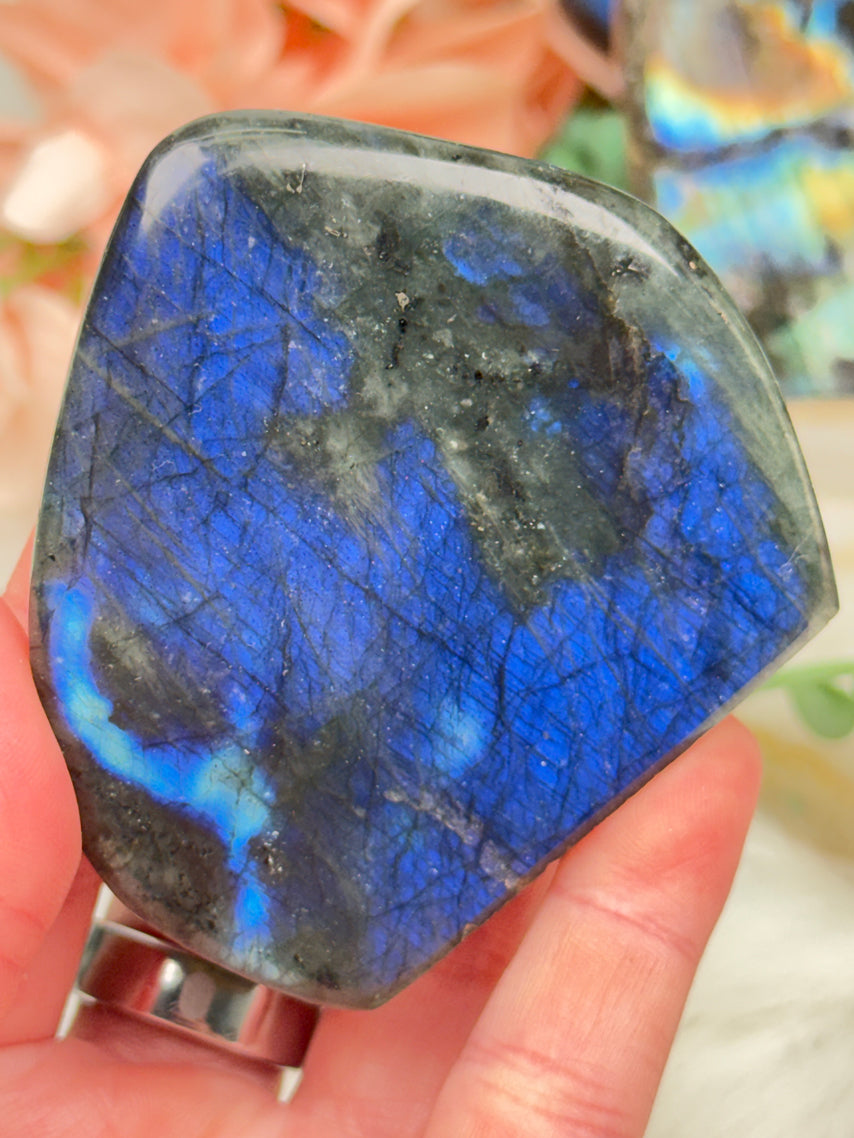Standing Labradorite Freeforms